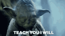 Yoda mentor
