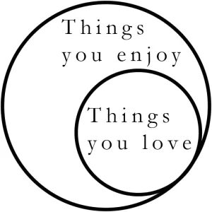 Venn Diagram of Things you enjoy vs. Things you love: Things you love are things that you enjoy, but there are also some things that you enjoy that you don't have to love. Though similar, enjoyment is different from love (or passion). You may enjoy music, but you may not be passionate about it. Don't confuse the two.